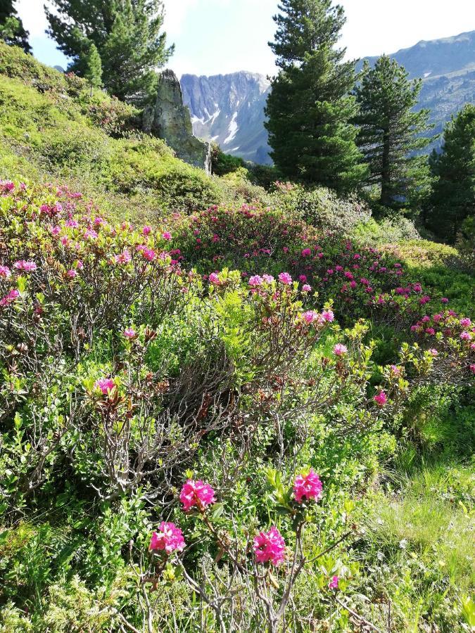 Apart Waldesruh Arzl im Pitztal Buitenkant foto