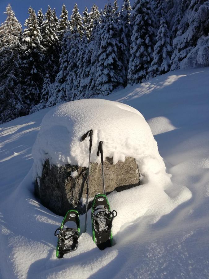 Apart Waldesruh Arzl im Pitztal Buitenkant foto