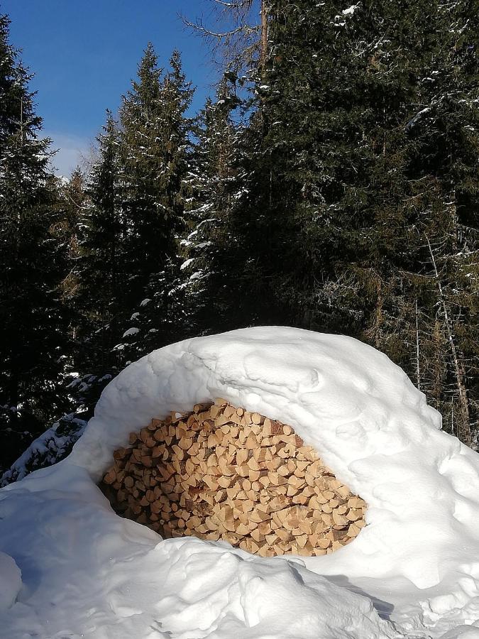 Apart Waldesruh Arzl im Pitztal Buitenkant foto