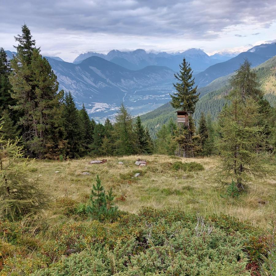 Apart Waldesruh Arzl im Pitztal Buitenkant foto