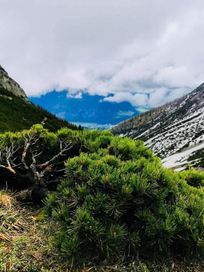 Apart Waldesruh Arzl im Pitztal Buitenkant foto