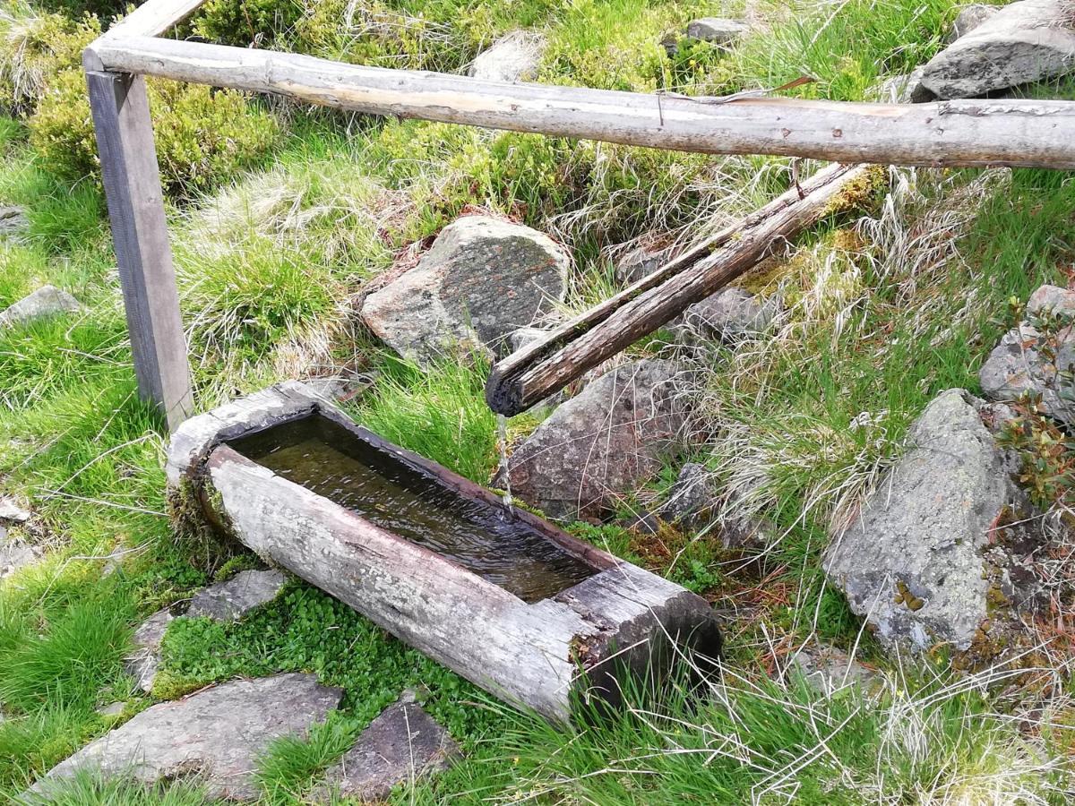 Apart Waldesruh Arzl im Pitztal Buitenkant foto